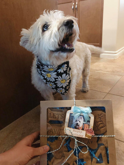 Birthday Treat Box (with birthday bandana)