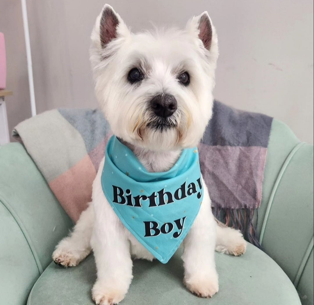 Birthday Boy Bandana