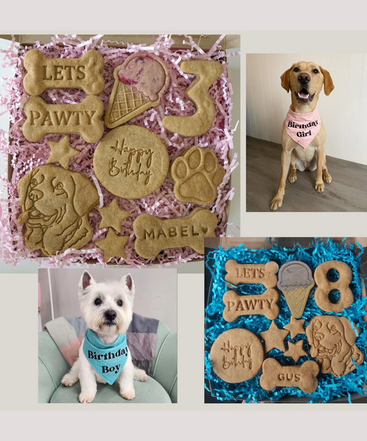 Birthday Treat Box (with birthday bandana)