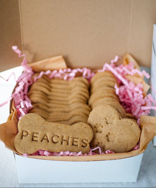 Personalized Dog Treat Box (Pink or Blue)