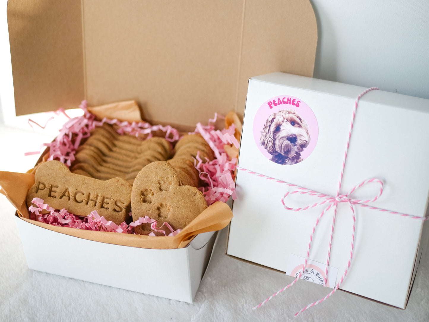 Personalized Dog Treat Box (Pink or Blue)