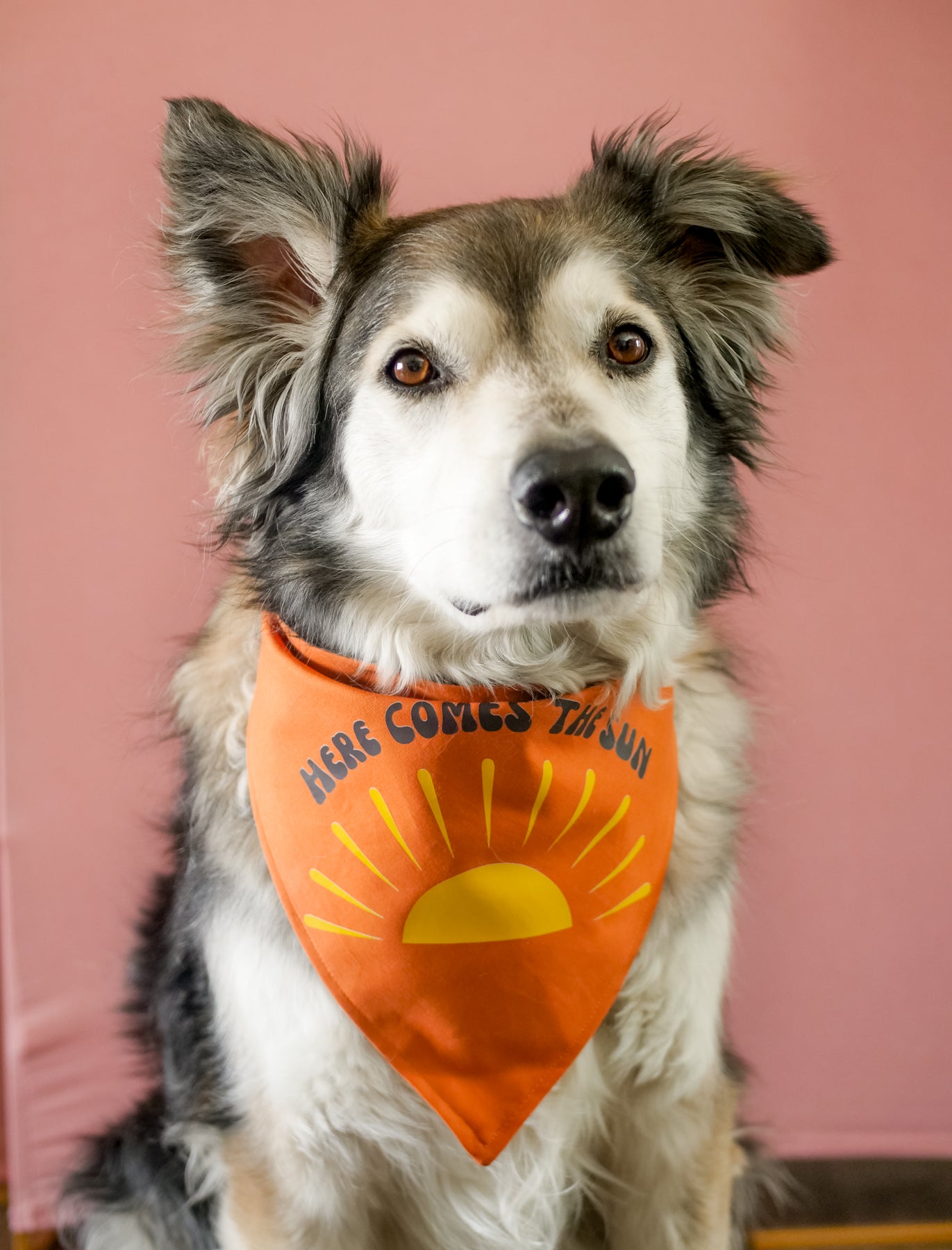 Here Comes the Sun Bandana