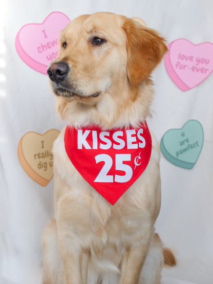 Valentines Kisses Bandana