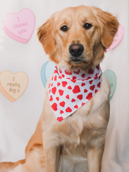 Valentines Hearts Bandana