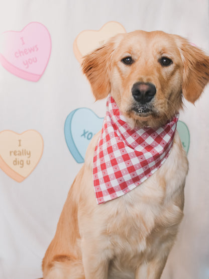 Valentines Plaid Bandana